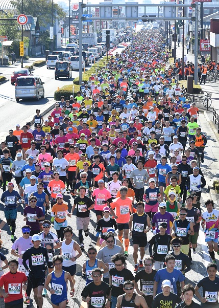 %e3%83%95%e3%83%ab17%e5%8f%b7dsc_1472